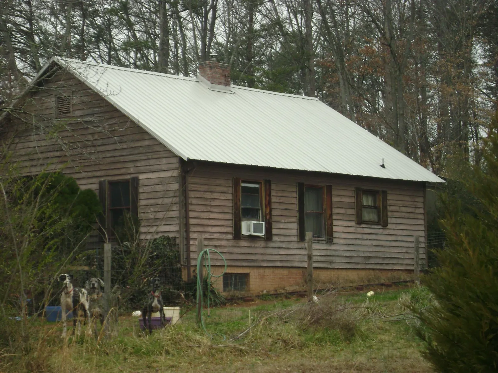 White metal roof on an old wood sided farmhouse, from a Asphalt Shingle Roof Repair job in Gibson